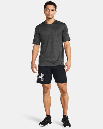 Men's UA Tech? Woven Graphic Shorts